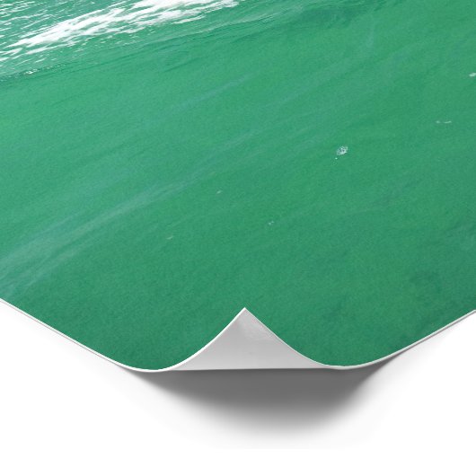 Flaschenose Delphine Tursiops truncatus Poster (Ecke)