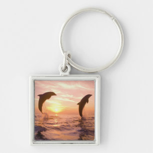 Flaschenose Delphine Tursiops truncatus Schlüsselanhänger