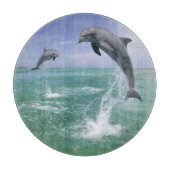 Flaschenose Delphine Tursiops truncatus Schneidebrett (Vorderseite)