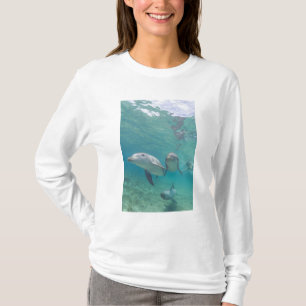 Flaschenose Delphine Tursiops truncatus T-Shirt