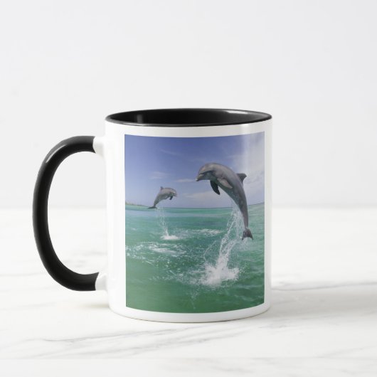 Flaschenose Delphine Tursiops truncatus Tasse (Links)