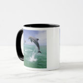 Flaschenose Delphine Tursiops truncatus Tasse (Vorderseite Links)