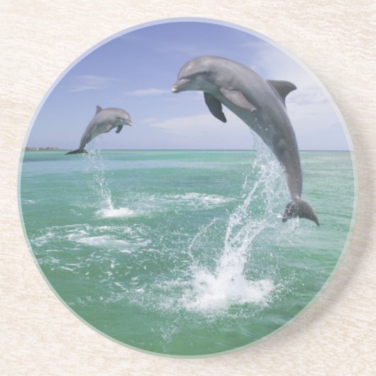 Flaschenose Delphine Tursiops truncatus Untersetzer (Vorne)