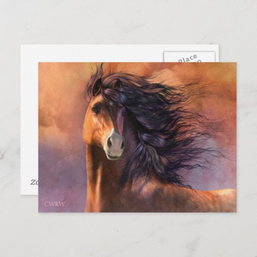 Flash-Postkarte Postkarte (Vorne/Hinten)