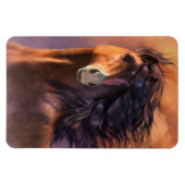 Flash Premium Flexi Magnet (Horizontal)