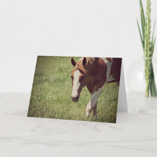 Flashy Paint Horse Jedes Anlasses Karte
