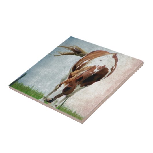 Flashy Paint Horse Mare Fliese (Seite)