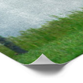 Flashy Paint Horse Mare Poster (Ecke)