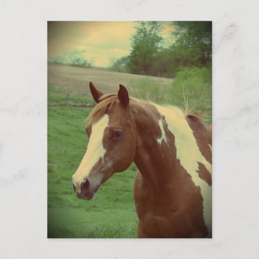 Flashy Retro Postkarte (Vorderseite)