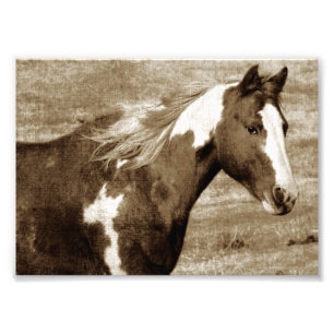 Flashy Tobinano Mare Sepia Fotodruck