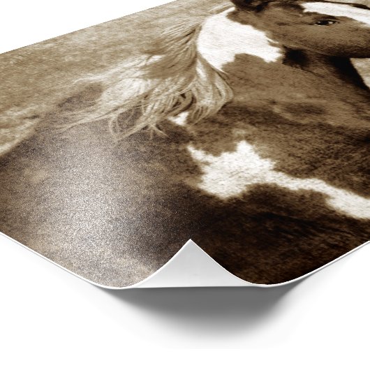 Flashy Tobinano Mare Sepia Fotodruck (Ecke)