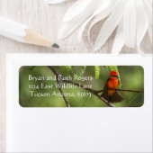 Flashy Vermillion Flycatcher (Insitu)