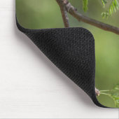 Flashy Vermillion Flycatcher Mousepad (Ecke)