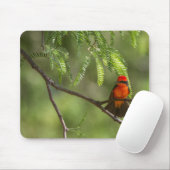 Flashy Vermillion Flycatcher Mousepad (Mit Mouse)