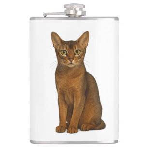Flasques mit Chat Abyssin Ruddy Flachmann