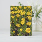 Flat Blank Card - Beautiful Tulips Bowral Dankeskarte (Stehend Vorderseite)