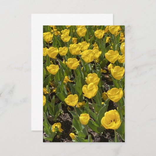 Flat Blank Card - Beautiful Tulips Bowral Dankeskarte (Vorne/Hinten)