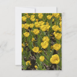 Flat Blank Card - Beautiful Tulips Bowral Dankeskarte