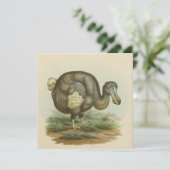 Flat Card "Antique Dodo Bird Natural History" (Stehend Vorderseite)