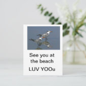 Flat Card Besichtigen Sie am Strand Gibney Das Mus (Stehend Vorderseite)