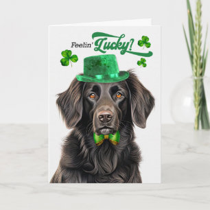 Flat Coat Retriever Hund Glücklicher St. Patrick's Feiertagskarte