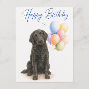 Flat Coated Retriever Geburtstag Postkarte