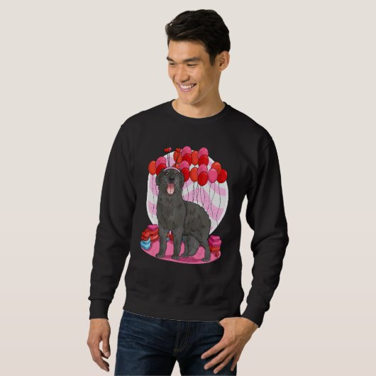 Flat Coated Retriever Heart Valentine Day Hund Sweatshirt (Vorne ganz)