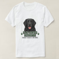 🐾 Flat-Coated Retriever 🐾