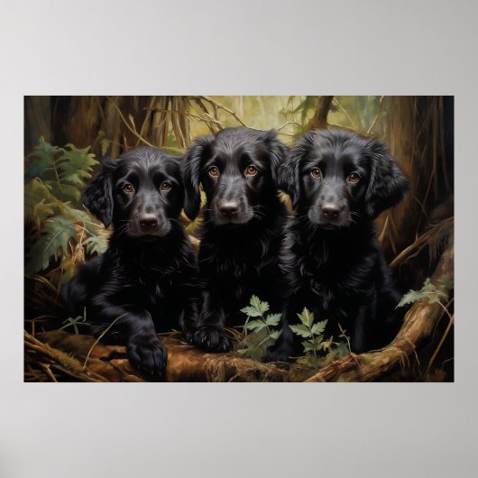 Flat Coated Retriever Welpen Poster (Vorne)