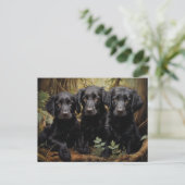 Flat Coated Retriever Welpen Postkarte (Stehend Vorderseite)