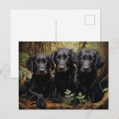 Flat Coated Retriever Welpen Postkarte (Vorne/Hinten)