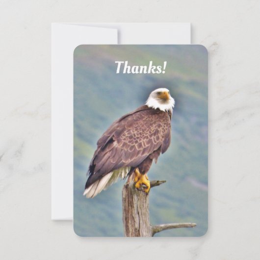 Flat Dankeschön Karte des Adlers (Rückseite)
