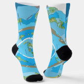 Flat Earth Map Socks - Unique Geographical Design Socken (Gewinkelt)
