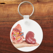 Flat hand showing model human kidney schlüsselanhänger (Vorderseite)