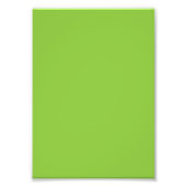 Flat Lime Green Background – School Texture Fotodruck (Vorne)