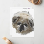 Flat Note Card Louis Newie die Rettung Pekingese Mitteilungskarte (Vorderseite/Rückseite Beispiel)
