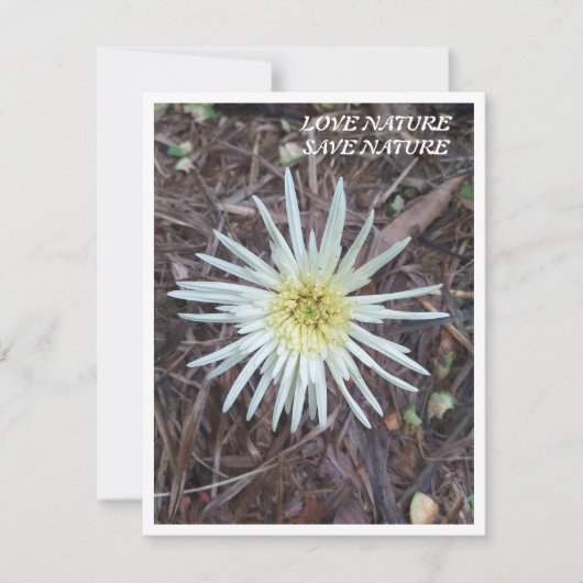Flat Note Card mit Schönheit der Natur Mitteilungskarte (Vorderseite)