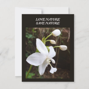 Flat Note Card - umweltrelevante Meldung Mitteilungskarte