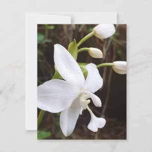 Flat Note Card - umweltrelevante Meldung Mitteilungskarte