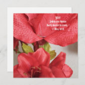 Flat Save the Date Wedding Amaryllis Red (Vorne/Hinten)