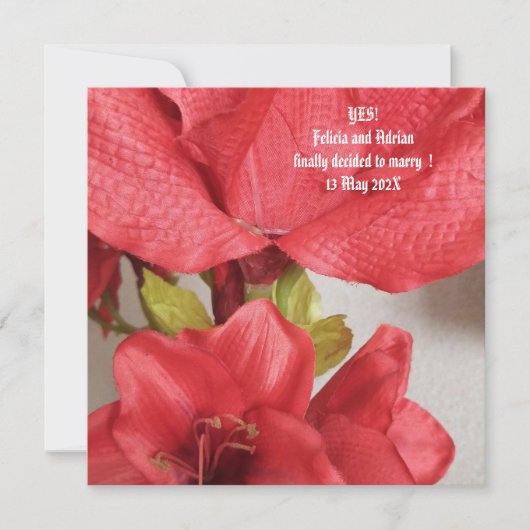 Flat Save the Date Wedding Amaryllis Red (Vorderseite)