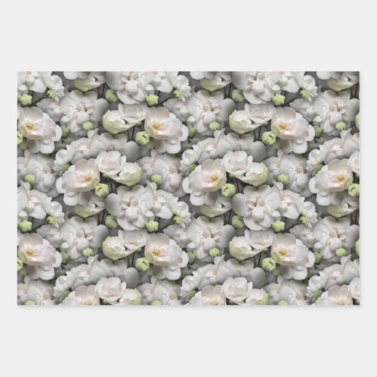 Flat Sheet-Set von 3 Geschenkpapier Set (Vorderseite 2)