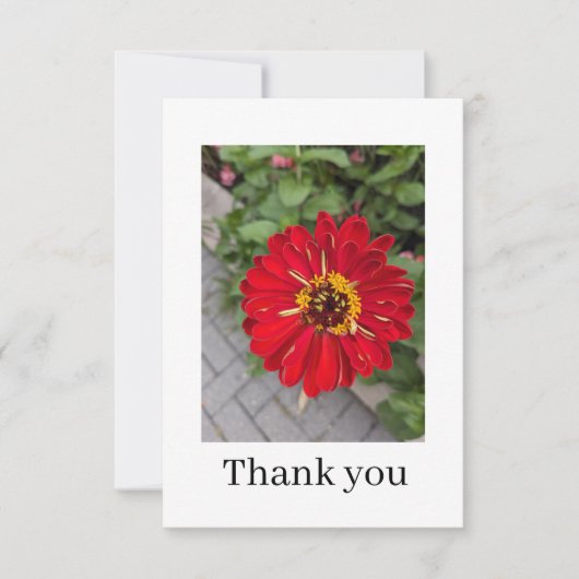Flat Thank You Card Dankeskarte (Vorderseite)