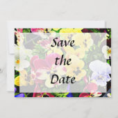 Flat von Stiefmütterchen - Gemischte Farben Save t The Date (Rückseite)