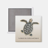 Flatback Sea Turtle Hatchling Magnet (Vorderseite/Rückseite)