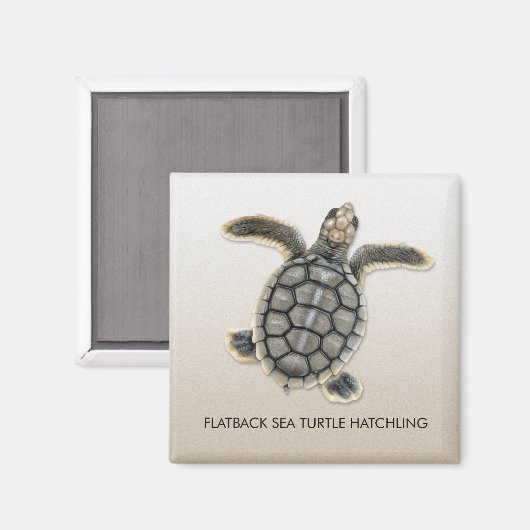 Flatback Sea Turtle Hatchling Magnet (Vorderseite/Rückseite)