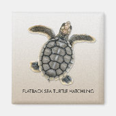 Flatback Sea Turtle Hatchling Magnet (Vorne)