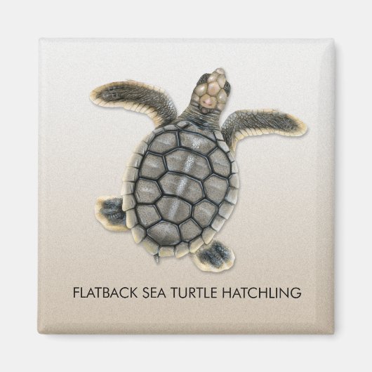Flatback Sea Turtle Hatchling Magnet (Vorne)