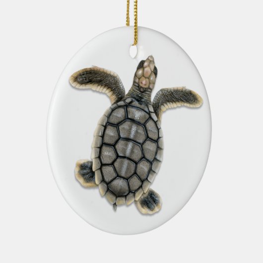 Flatback Sea Turtle Ornament (Rechts)
