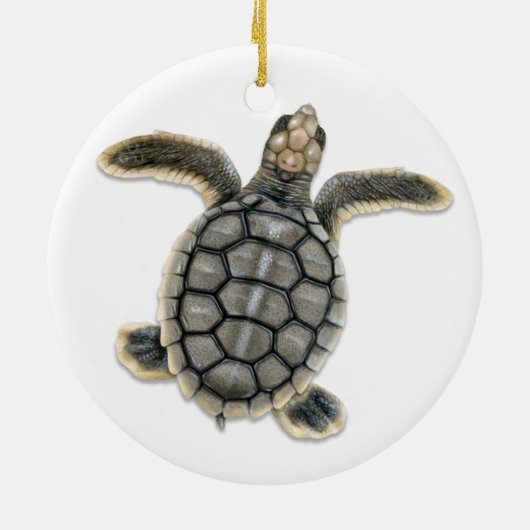 Flatback Sea Turtle Ornament (Hinten)